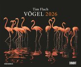 Tim Flach: Vögel 2026 - Posterkalender von DUMONT- Vogel-Porträts von Tim Flach - Poster-Format 50 x 70 cm