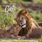 Big Cats 2026 Big Cats 2026