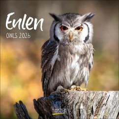 Cover Eulen 2026