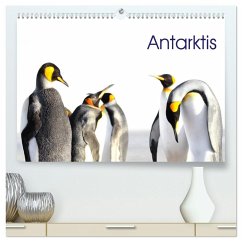 Antarktis - viaje.ch (hochwertiger Premium Wandkalender 2026 DIN A2 quer), Kunstdruck in Hochglanz Antarktis - viaje.ch (hochwertiger Premium Wandkalender 2026 DIN A2 quer), Kunstdruck in Hochglanz