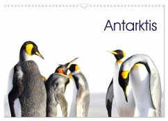 Antarktis - viaje.ch (Wandkalender 2026 DIN A3 quer), CALVENDO Monatskalender Antarktis - viaje.ch (Wandkalender 2026 DIN A3 quer), CALVENDO Monatskalender