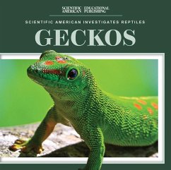 Cover Geckos