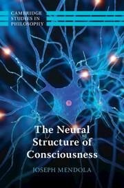 The Neural Structure of Consciousness - Mendola, Joseph