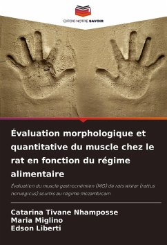 Cover Évaluation morphologique et quantitative du muscle chez le rat en fonction du régime alimentaire