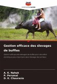 Gestion efficace des élevages de buffles Gestion efficace des élevages de buffles