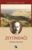 Zeytindagi - Günümüz Türkcesiyle Zeytindagi - Günümüz Türkcesiyle