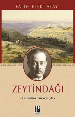 Cover Zeytindagi - Günümüz Türkcesiyle