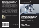 Identificación y detección de E. coli productora de betalactamasas de espectro extendido