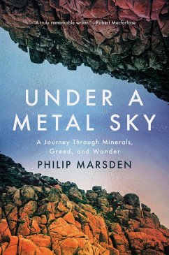 Cover Under a Metal Sky