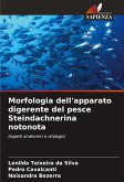 Morfologia dell'apparato digerente del pesce Steindachnerina notonota