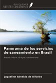 Panorama de los servicios de saneamiento en Brasil