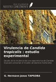 Virulencia de Candida tropicalis : estudio experimental Virulencia de Candida tropicalis : estudio experimental