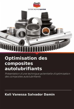 Optimisation des composites autolubrifiants - Damin, Keli Vanessa Salvador