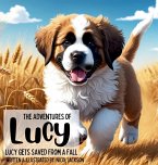 The Adventures of Lucy - Lucy Gets Saved From A Fall
