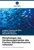 Morphologie des Verdauungstraktes des Fisches Steindachnerina notonota Morphologie des Verdauungstraktes des Fisches Steindachnerina notonota