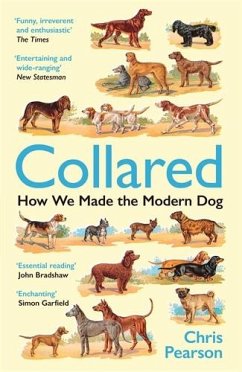 Cover Collared