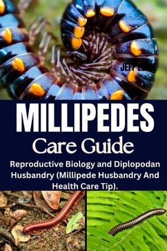 Millipedes Care Guide - Eddie, Jeff