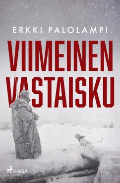 Viimeinen vastaisku - Palolampi, Erkki