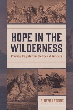 Cover Hope in the Wilderness: Practical Insights from the Book of Numbers
