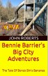 Bennie Barrier's Big City Adventures;... - Bild 1