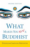 What Makes You Not a Buddhist (eBook, ePUB)