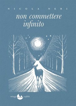 Cover Non Commettere Infinito (eBook, ePUB)