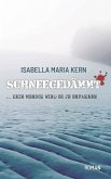 SCHNEEGEDÄMMT (eBook, ePUB)