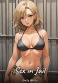 Sex in Jail
