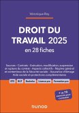 Droit du travail 2025 en 28 fiches (eBook, ePUB) Droit du travail 2025 en 28 fiches (eBook, ePUB)