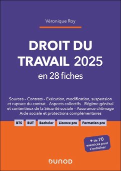 Cover Droit du travail 2025 en 28 fiches (eBook, ePUB)