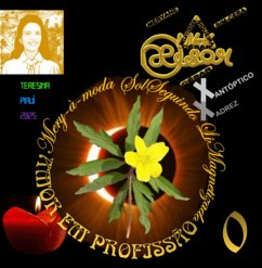 Mery-à-moda Solseguindo Limagnetizado (eBook, ePUB) - César, Melkyzedek Siqueira