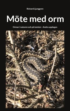 Möte med orm (eBook, ePUB)