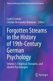 Forgotten Streams in the History of 19th-Century German Psychology (eBook, PDF)