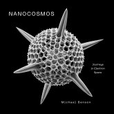 Nanocosmos (eBook, ePUB) Nanocosmos (eBook, ePUB)