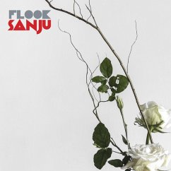 Cover Sanju