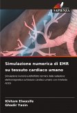 Simulazione numerica di EMR su tessuto cardiaco umano Simulazione numerica di EMR su tessuto cardiaco umano