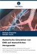 Numerische Simulation von EMR auf... - Bild 1