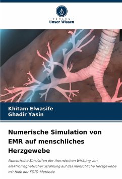 Cover Numerische Simulation von EMR auf menschliches Herzgewebe
