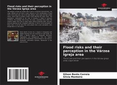 Cover Flood risks and their perception in the Várzea Igreja area