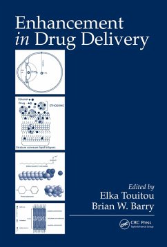Cover Enhancement in Drug Delivery (eBook, ePUB)