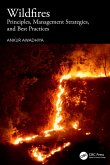 Wildfires (eBook, ePUB)