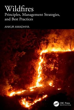 Cover Wildfires (eBook, ePUB)