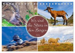 Wir sind die Stars in den Bergen (Tischkalender 2026 DIN A5 quer), CALVENDO Monatskalender