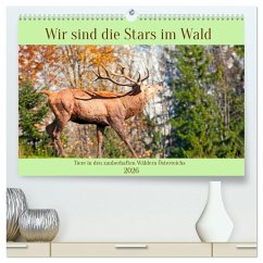 Wir sind die Stars im Wald (hochwertiger Premium Wandkalender 2026 DIN A2 quer), Kunstdruck in Hochglanz