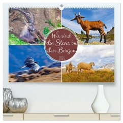 Cover Wir sind die Stars in den Bergen (hochwertiger Premium Wandkalender 2026 DIN A2 quer), Kunstdruck in Hochglanz