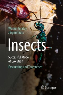 Cover Insects - Successful Models of Evolution