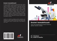 Cover Enzimi immobilizzati