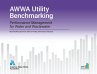 Awwa Utility Benchmarking 2024:... - Bild 1