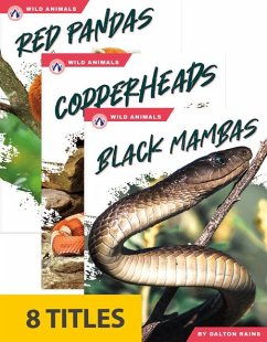 Cover Wild Animals Set 2 (Set of 8)