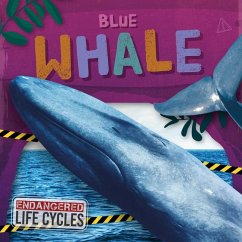 Cover Blue Whale
